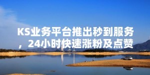 ks点赞业务自助平台-ks涨粉丝软件