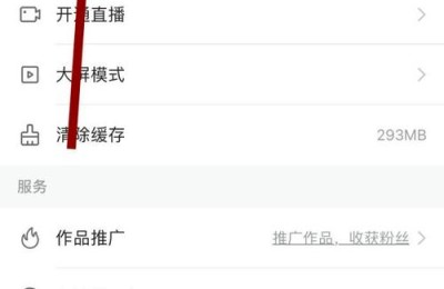 快手粉丝点赞播放量-快手业务平台全网最低价