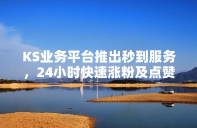 ks点赞业务自助平台-ks涨粉丝软件