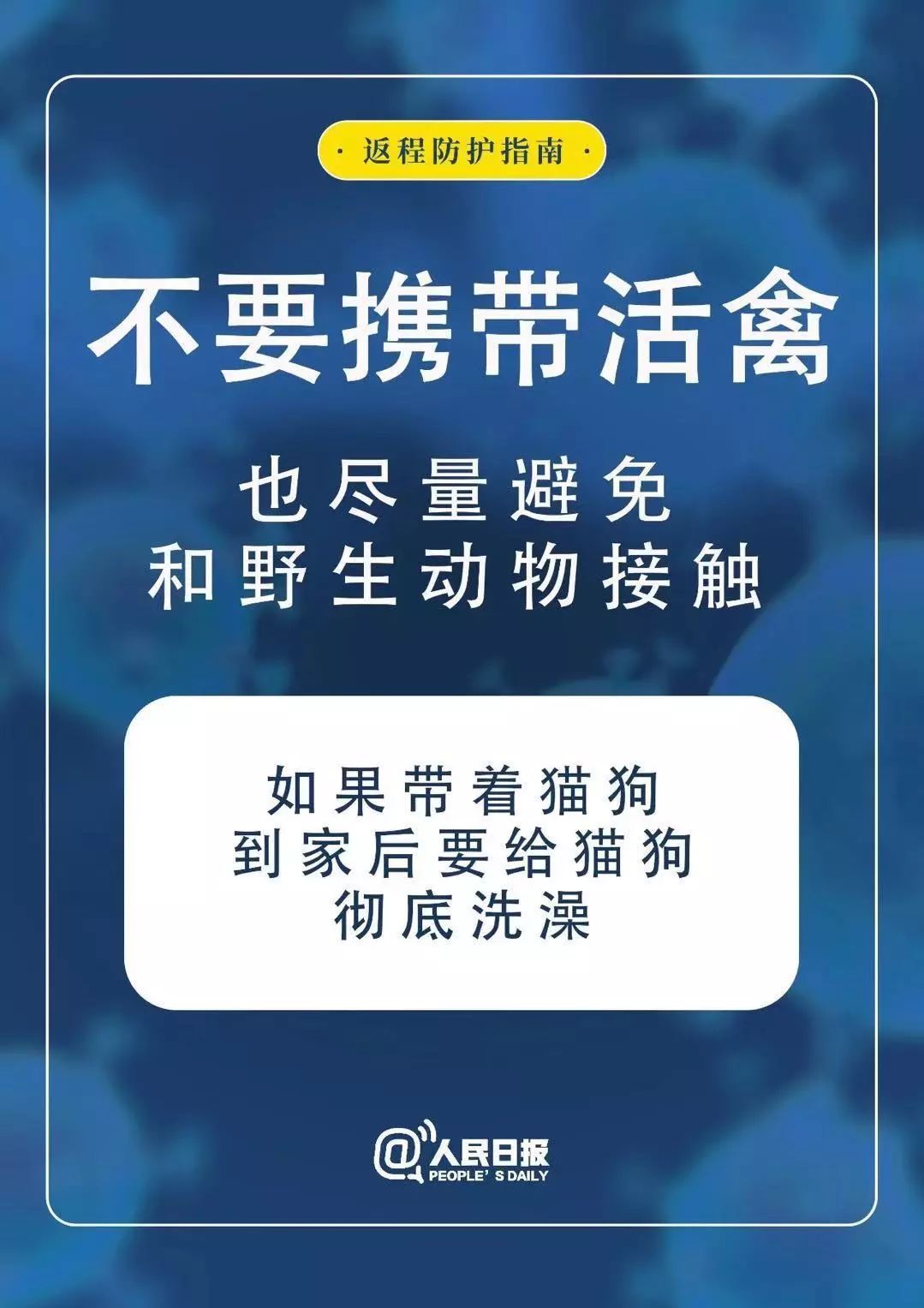 视频号无脑搬运指南：轻松操作，快速引流
