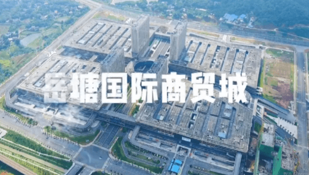 抖音如何快速吸粉？五大技巧助你打造爆款账号