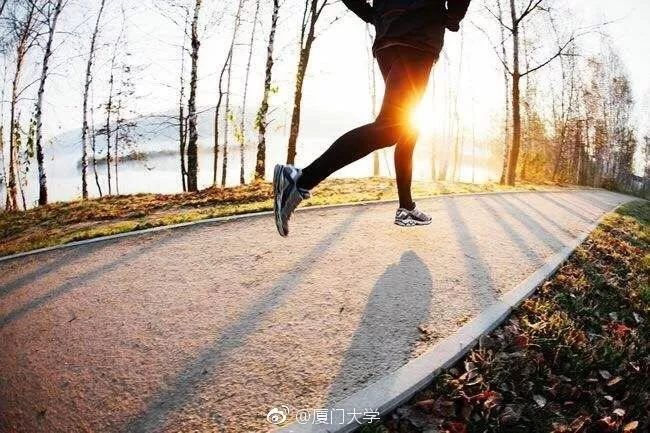跑步如何听小红书：跑步爱好者的绝佳体验