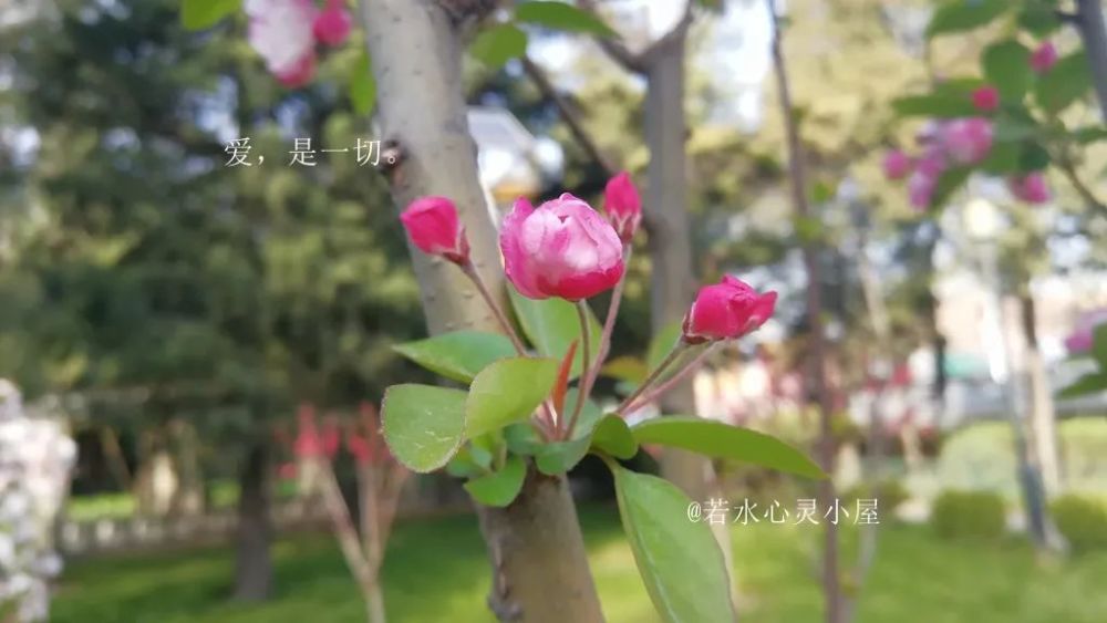 哔哩哔哩如何搜索小游戏？轻松找到你喜爱的小游戏！