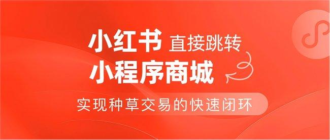 小红书个人推广攻略：让你的内容爆红的秘诀