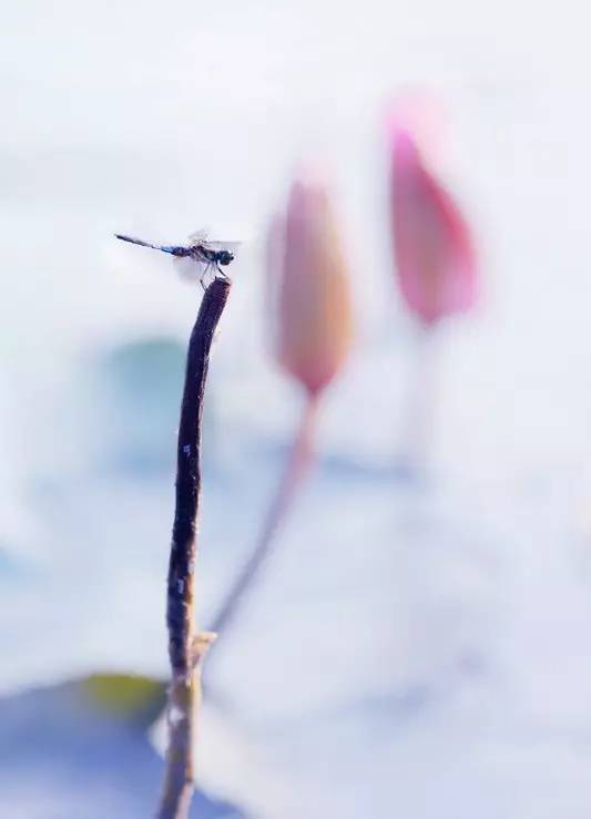 今日头条怎么学中医？用这几招，让你轻松掌握中医知识！