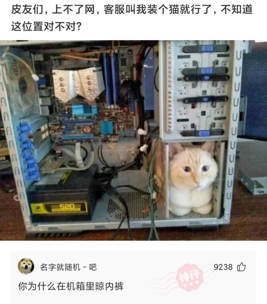 如何拍摄让人眼前一亮的今日头条照片