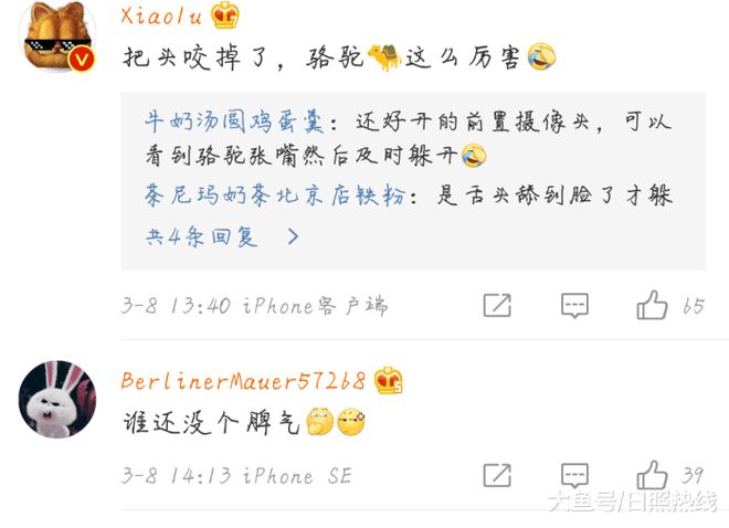 如何拍摄让人眼前一亮的今日头条照片
