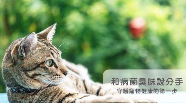 微博配图怎么删除？一步一步教你快速搞定！
