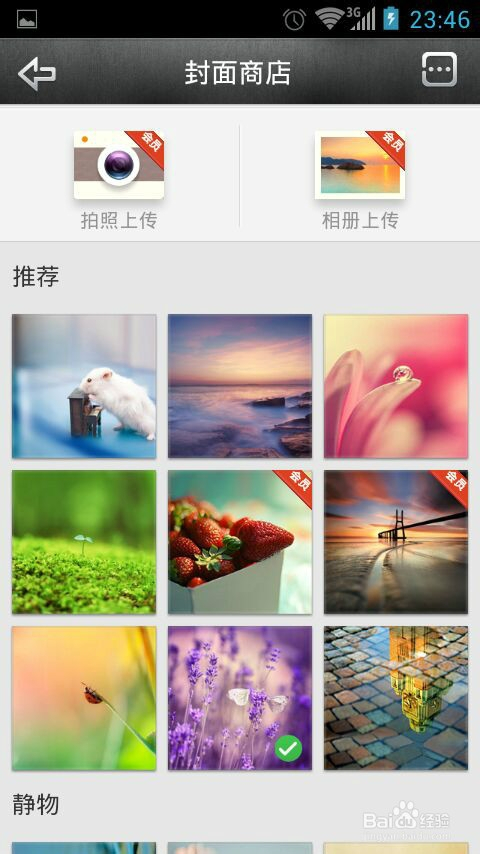 微博的封面图怎么换？轻松打造个性主页指南