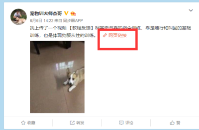 小红书如何进行垂直搜索，让你精准找到所需内容
