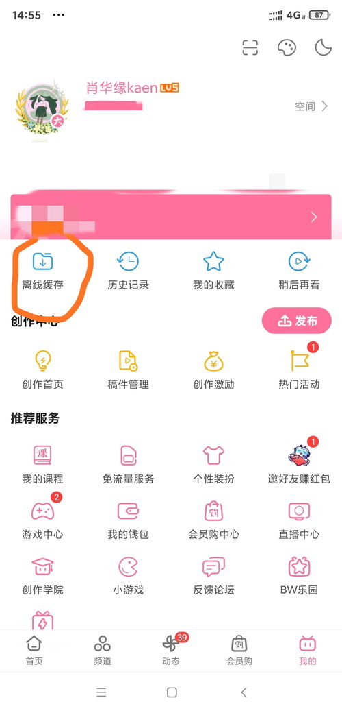 怎么把B站缓存的视频转为本地视频