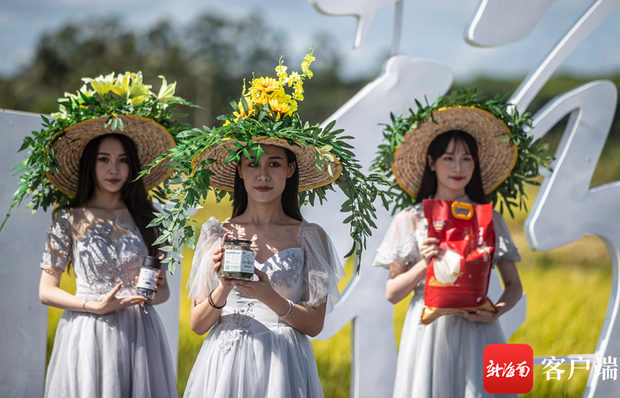 如何评价哔哩哔哩的徐大虾：探讨一位原创UP主的成功之道