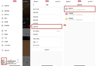 小红书如何蒲公英报备：一站式攻略，助你轻松上手