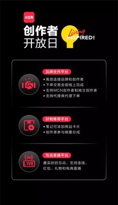 如何通过小红书进行高效推广，助力品牌突围