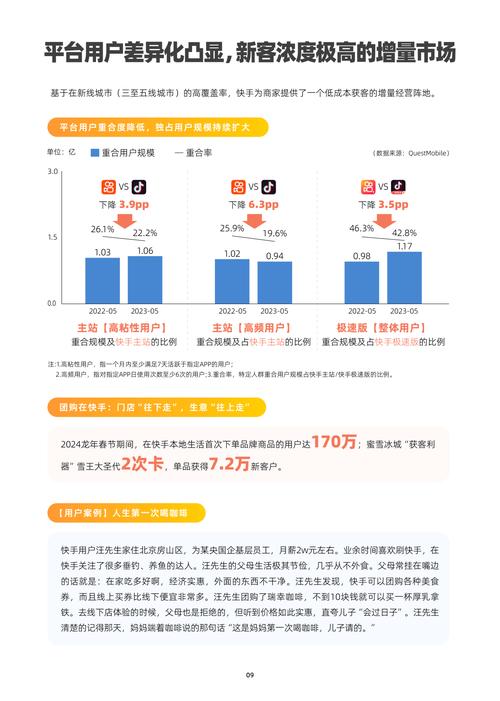 快手低价平台自助模式，行业变革下的新机遇与挑战