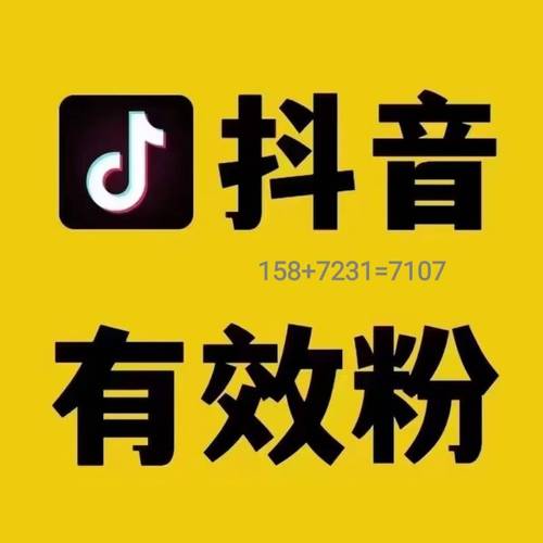 双击赋能抖音生态，专业粉丝业务服务助力账号价值跃升