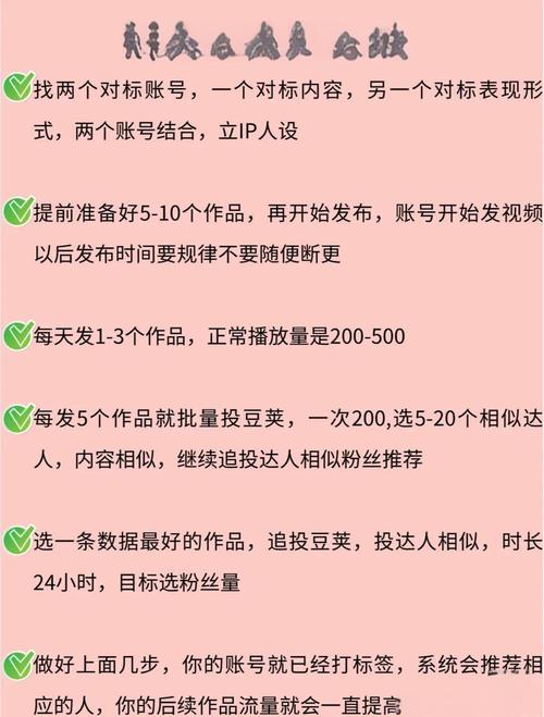 快手账号运营策略解析，如何高效突破1000粉丝增长瓶颈