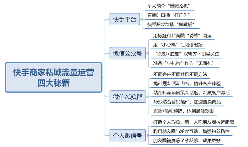 快手生态下的流量增长密码，解析涨粉点赞业务的市场逻辑与运营策略