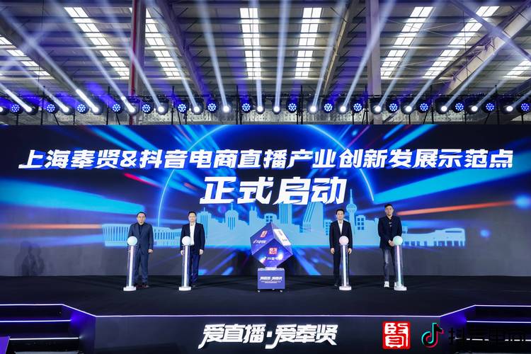 抖音24小时自助服务平台卡盟，创新服务模式引领行业新风尚