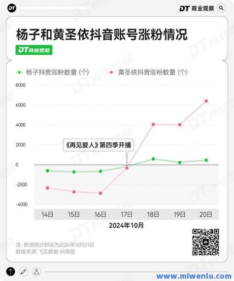 抖音粉丝业务惊现行业最低价，服务品质与价格双优引关注