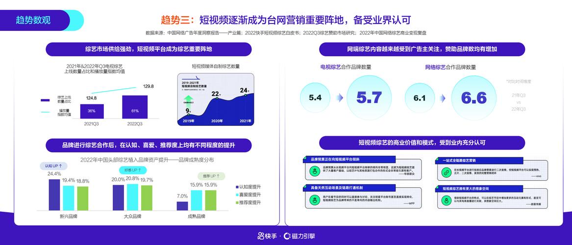 快手业务网站平台，短视频生态下的商业价值重构与行业趋势洞察