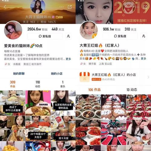 快手24小时自助粉丝下单-快手最快涨1000粉