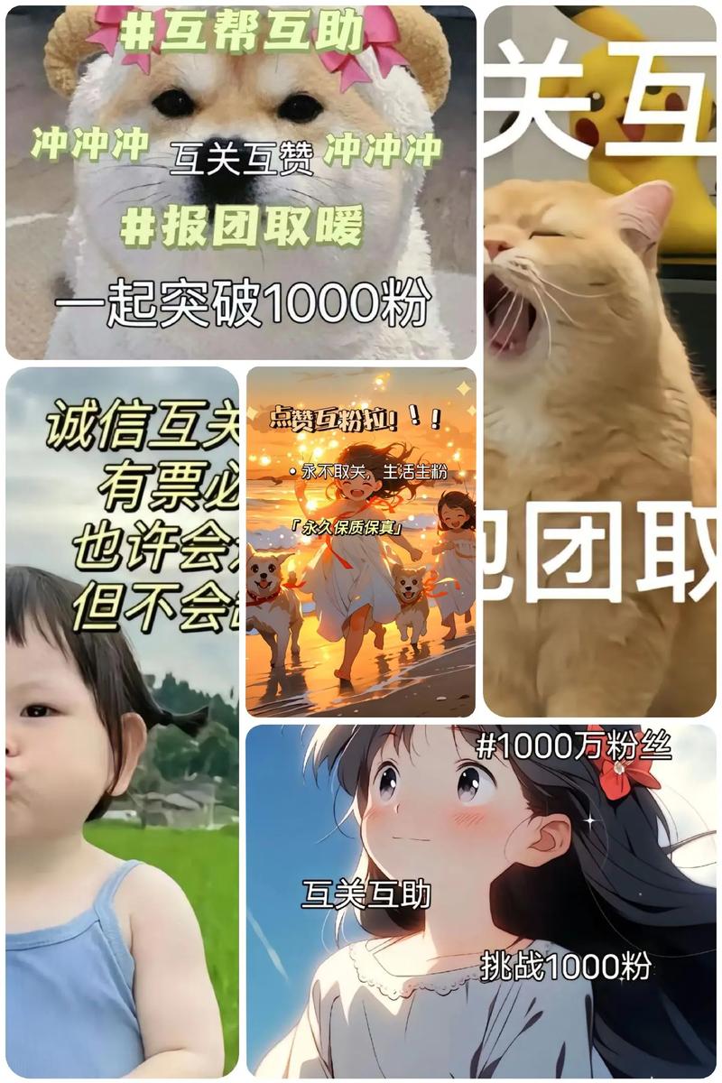 抖音涨粉丝1000多少钱-抖音在线点赞业务