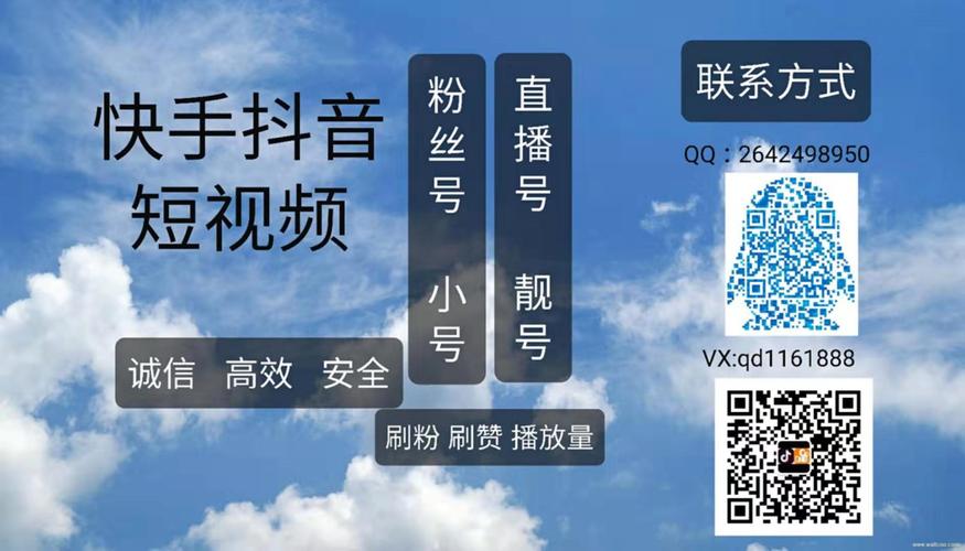 快手粉丝自助业务下单平台五个-快手点赞器