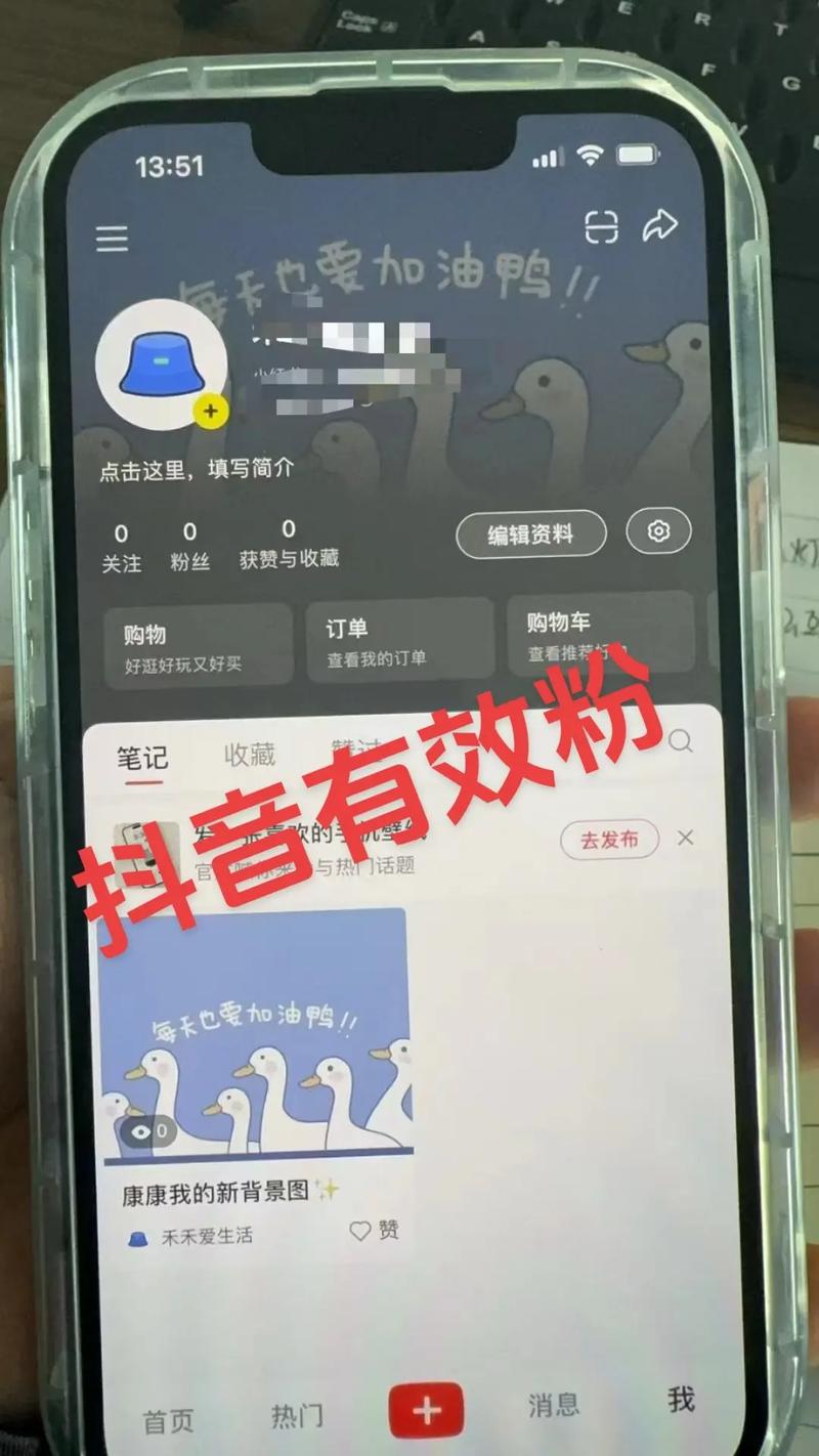 快手涨粉网站平台下单-涨粉丝1元1000个