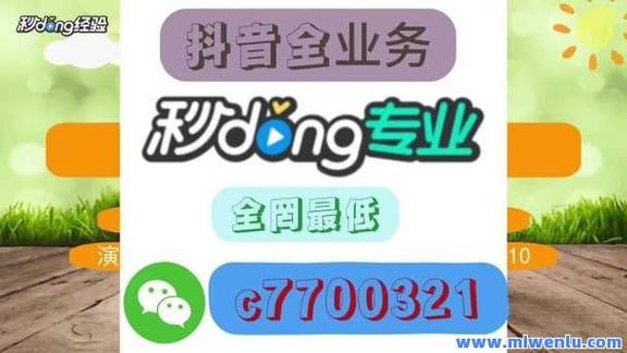 全网最稳最低价自助下单平台-抖音粉丝赚钱app平台