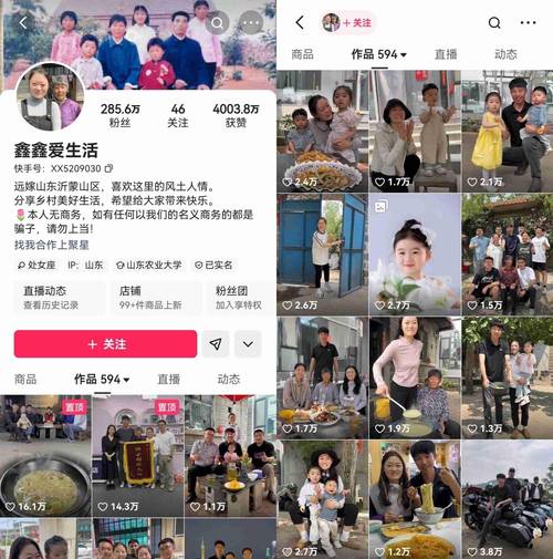 快手粉丝业务24小时下单低价-10块钱1w快手粉丝