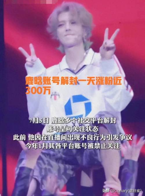 1元涨1000粉丝-24小时自助点赞