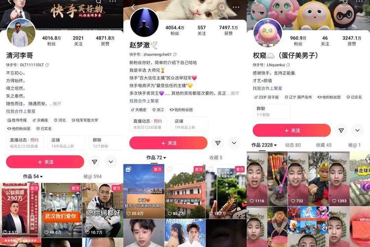 快手涨粉软件不花钱的-快手粉丝自助服务下单平台