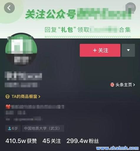 抖音业务自助下单平台10个赞-抖音买粉丝网站低价