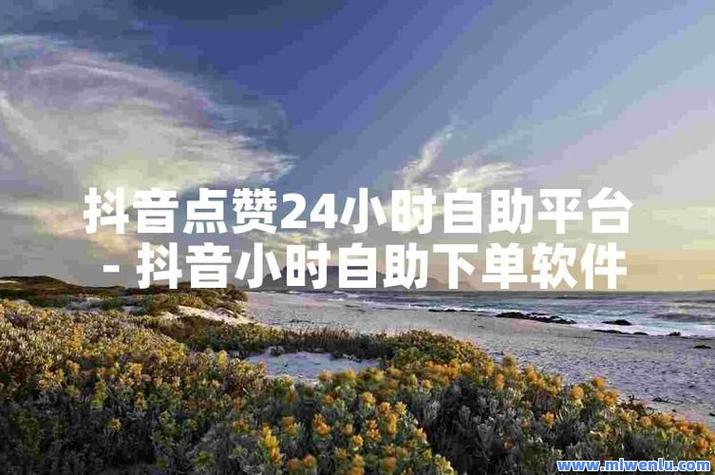 抖音推广自助网站便宜-1元涨1000粉丝软件