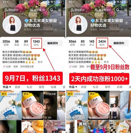 抖音涨粉丝辅助器-抖音涨粉自助下单