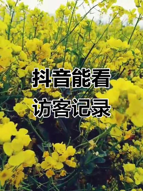 点赞抖音业务-抖音有访客记录吗