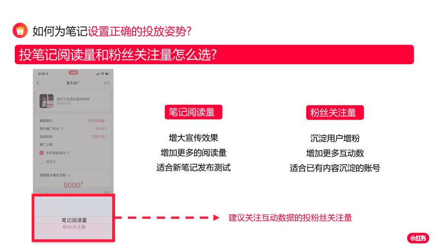 抖音怎么能快速涨粉丝,粉丝-粉丝平台