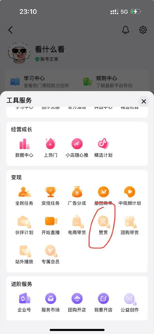 dy怎么获得点赞-dy双击平台