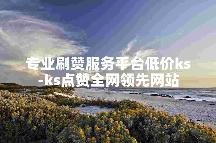 ks点赞接单软件-ks涨粉丝辅助器