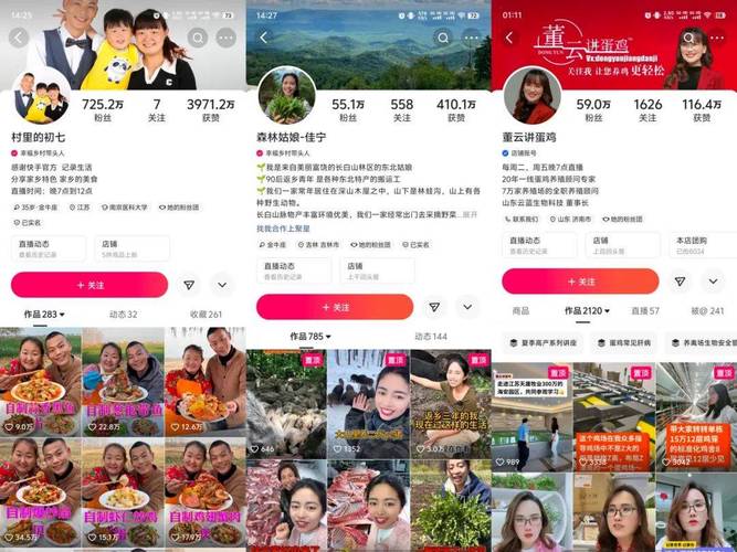 ks点赞24小时下单-快手一元1000个粉丝