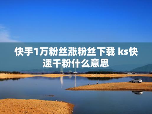 快手粉丝-ks20元1000粉丝网站-ks20元1000粉丝网站