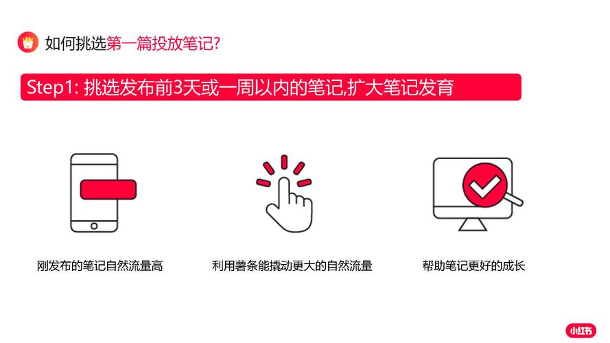 快手涨粉秘籍大揭秘-粉丝购买背后的真相与实操指南