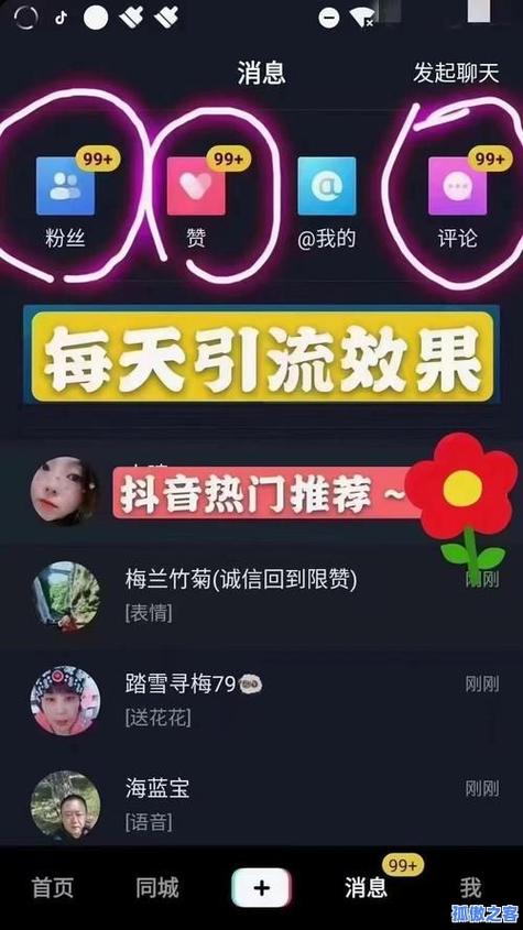 抖音点赞服务新选择，揭秘全网最实惠点赞网站
