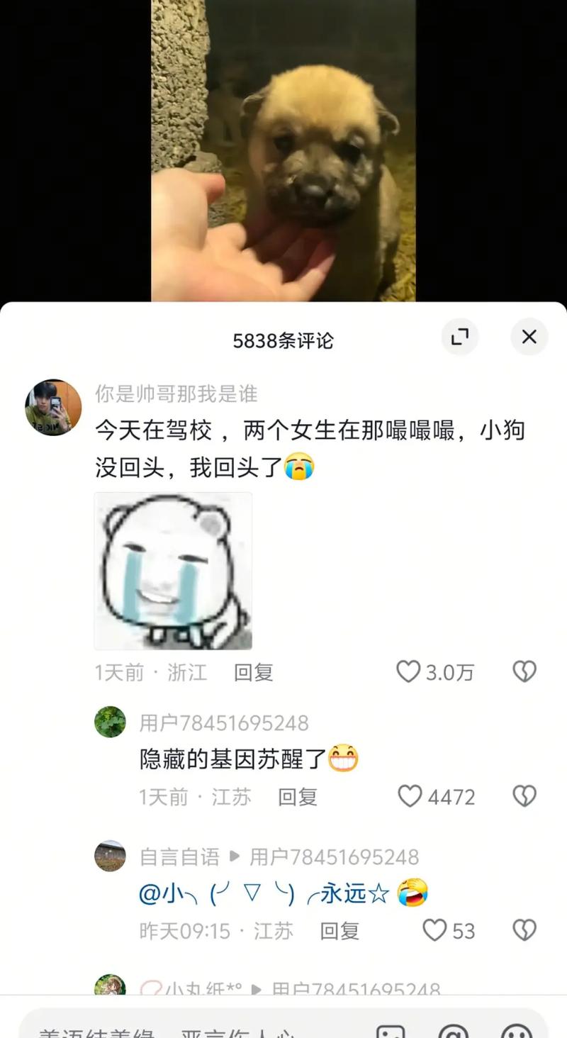 凌晨刷抖音没有评论