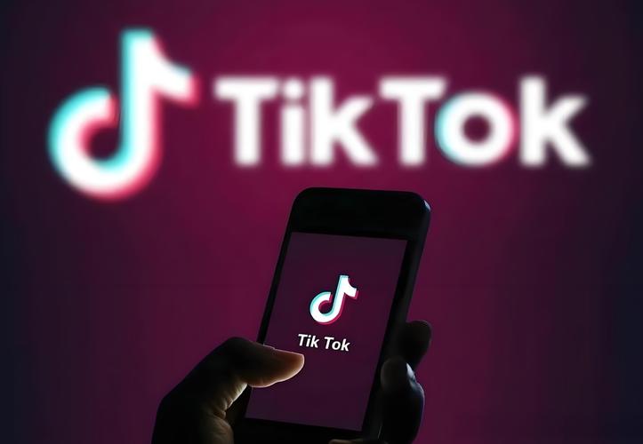 tiktok水晶涨粉,TikTok水晶涨粉：从普通用户到流量之巅的秘密旅程!