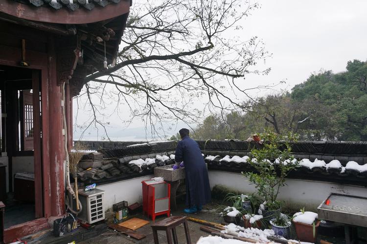 抱朴园怎么自助下单,抱朴园自助下单指南!