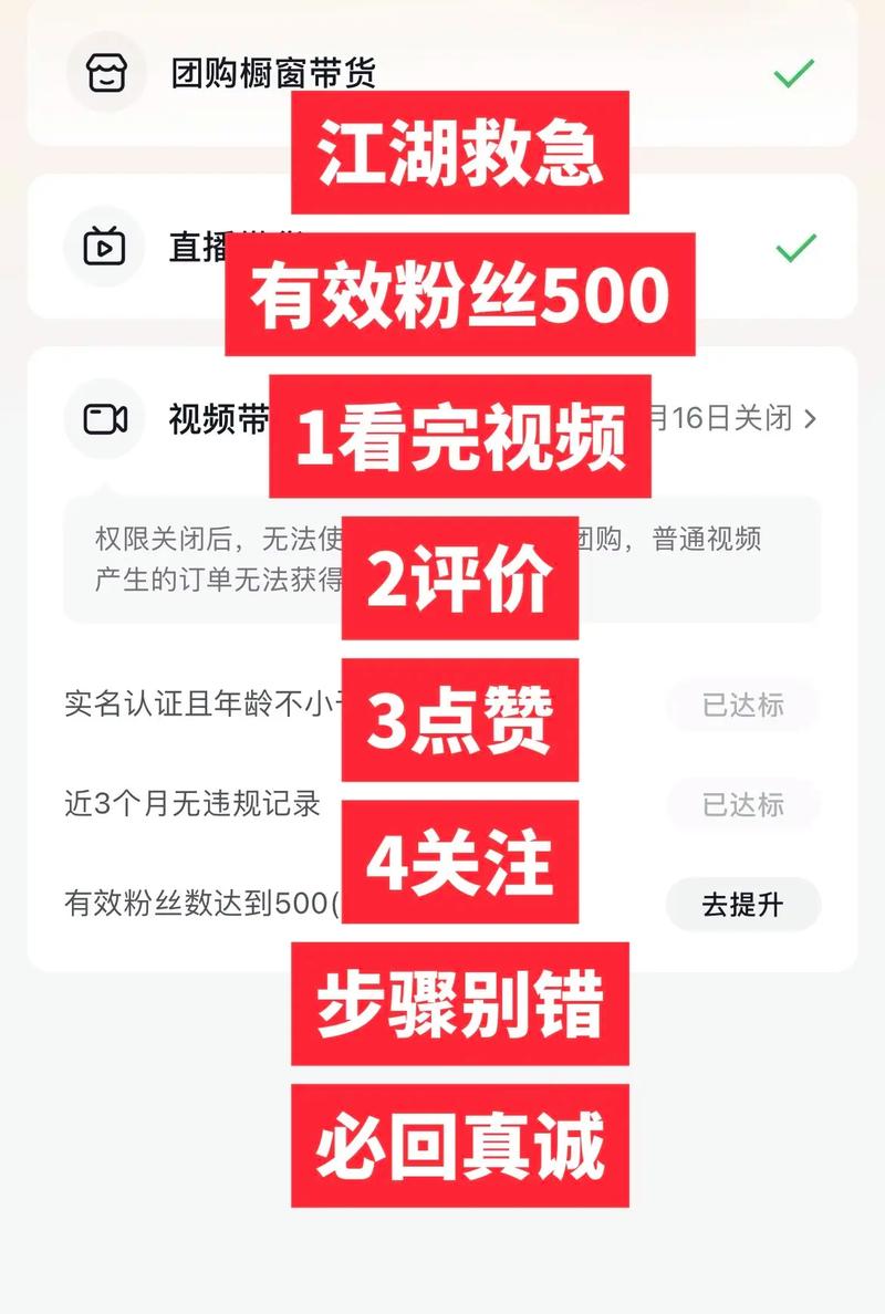 抖音500有效粉丝,抖音有效粉丝增长策略：如何获取500个忠实粉丝并超越他们的期待!