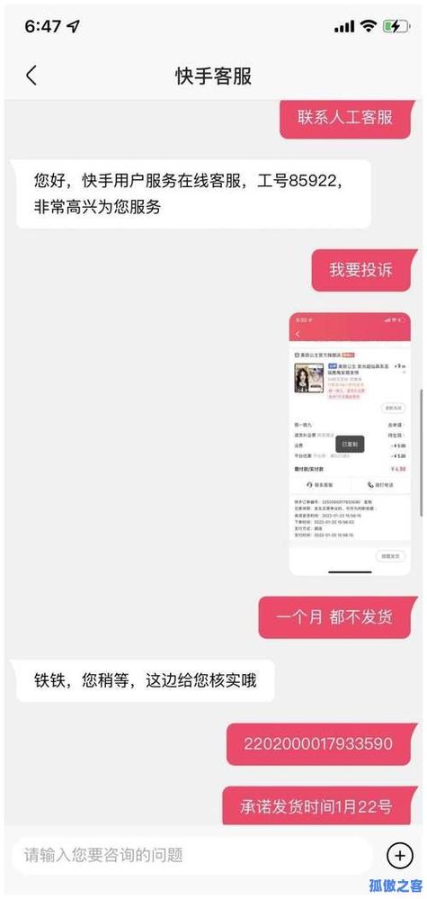 ks赞自助下单平台蚂蚁