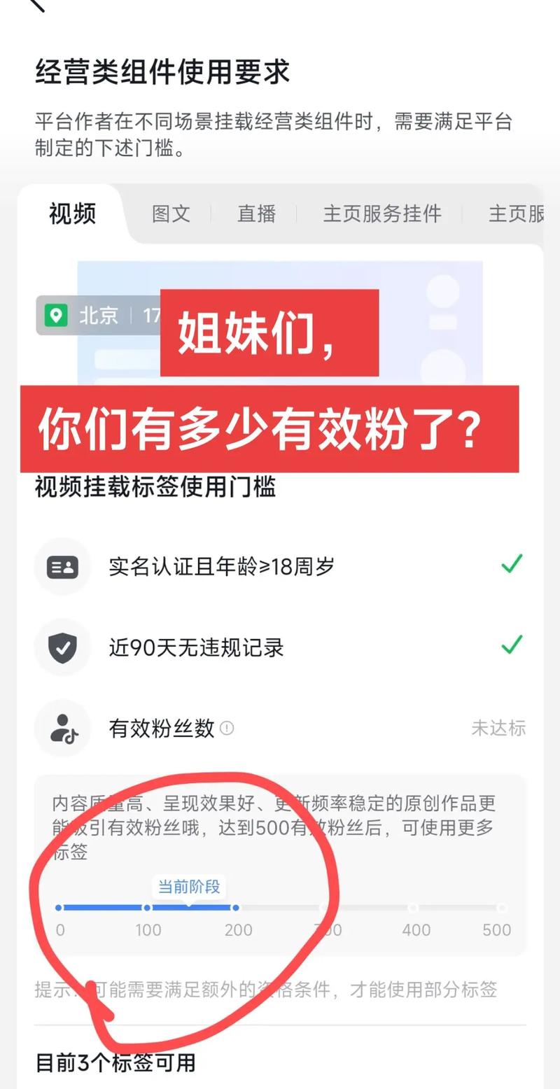 抖音有效粉丝500答案,关于抖音有效粉丝的答案与获取心得——积累五百粉丝的背后秘密!